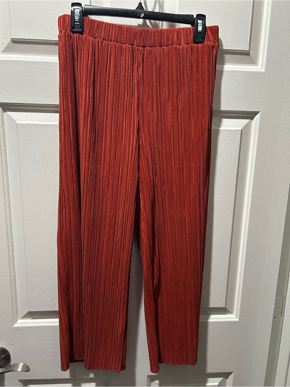 Madewell Plisse Crinkle Wide Leg Flowy Pull On Pants in Burnt Orange Size Small